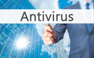 網(wǎng)絡(luò)信息安全系統(tǒng)與相關(guān)軟件開(kāi)發(fā)概覽